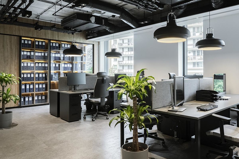 Bố trí cây hợp lý giúp tận dụng ánh sáng tự nhiên, tránh rối mắt và mang lại điểm nhấn cho văn phòng