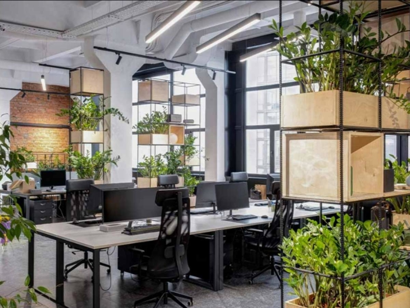 Nhiều nghiên cứu cho thấy việc đặt cây xanh trong phòng làm việc giúp não bộ tập trung hơn