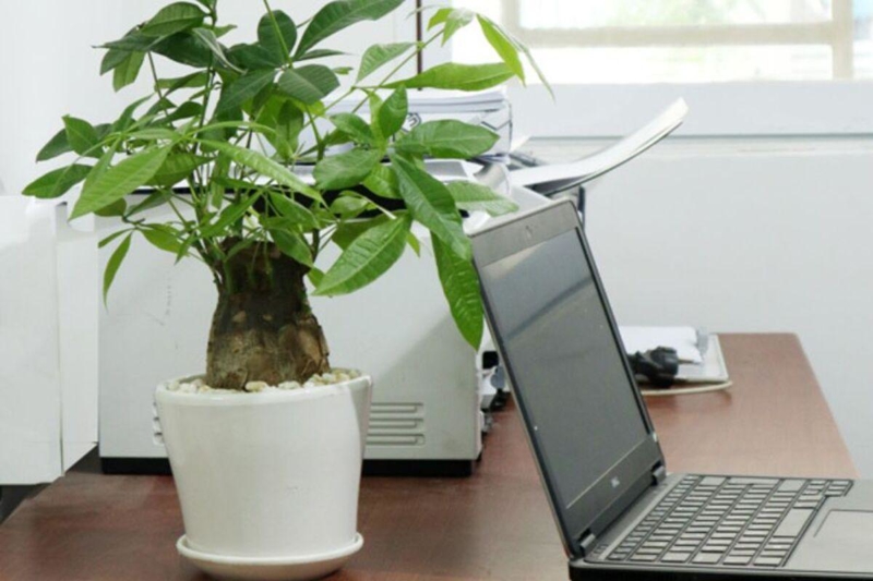 Người mệnh Hỏa hợp với màu sắc nóng, rực rỡ và mang năng lượng mạnh mẽ