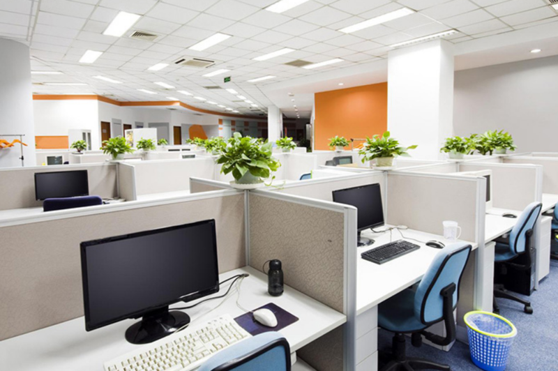 Chậu cây xanh nhỏ xinh giúp làm đẹp không gian, tạo cảm giác thư giãn và mang đến năng lượng tích cực