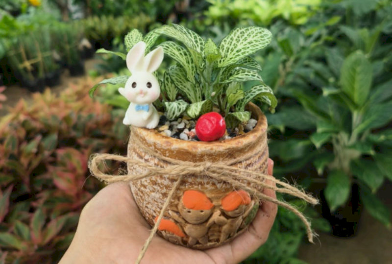 Tặng hoa tươi hoặc một chậu cây cảnh nhỏ là cách đơn giản nhưng vô cùng tinh tế để bày tỏ tình cảm với đồng nghiệp nữ